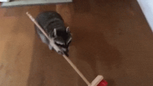sweeping