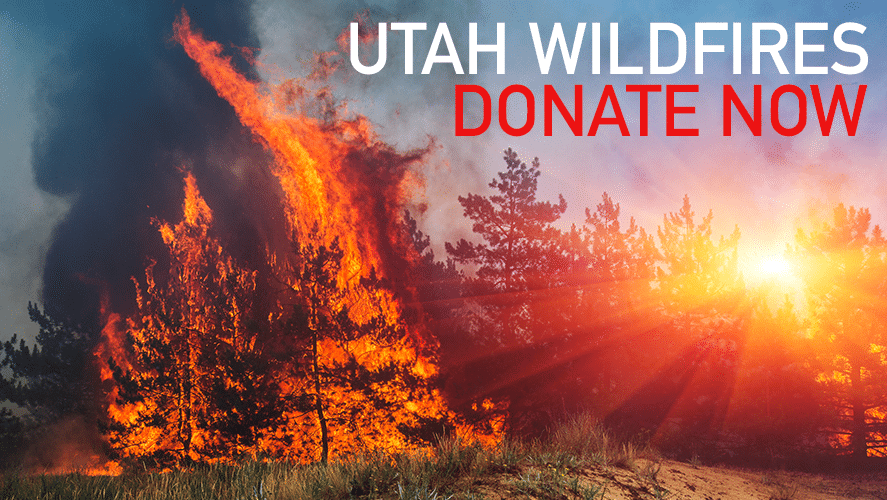 Wildfires_LP - 92.5 The Beat