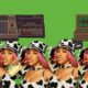 doja cat with samplers and computers in a collage