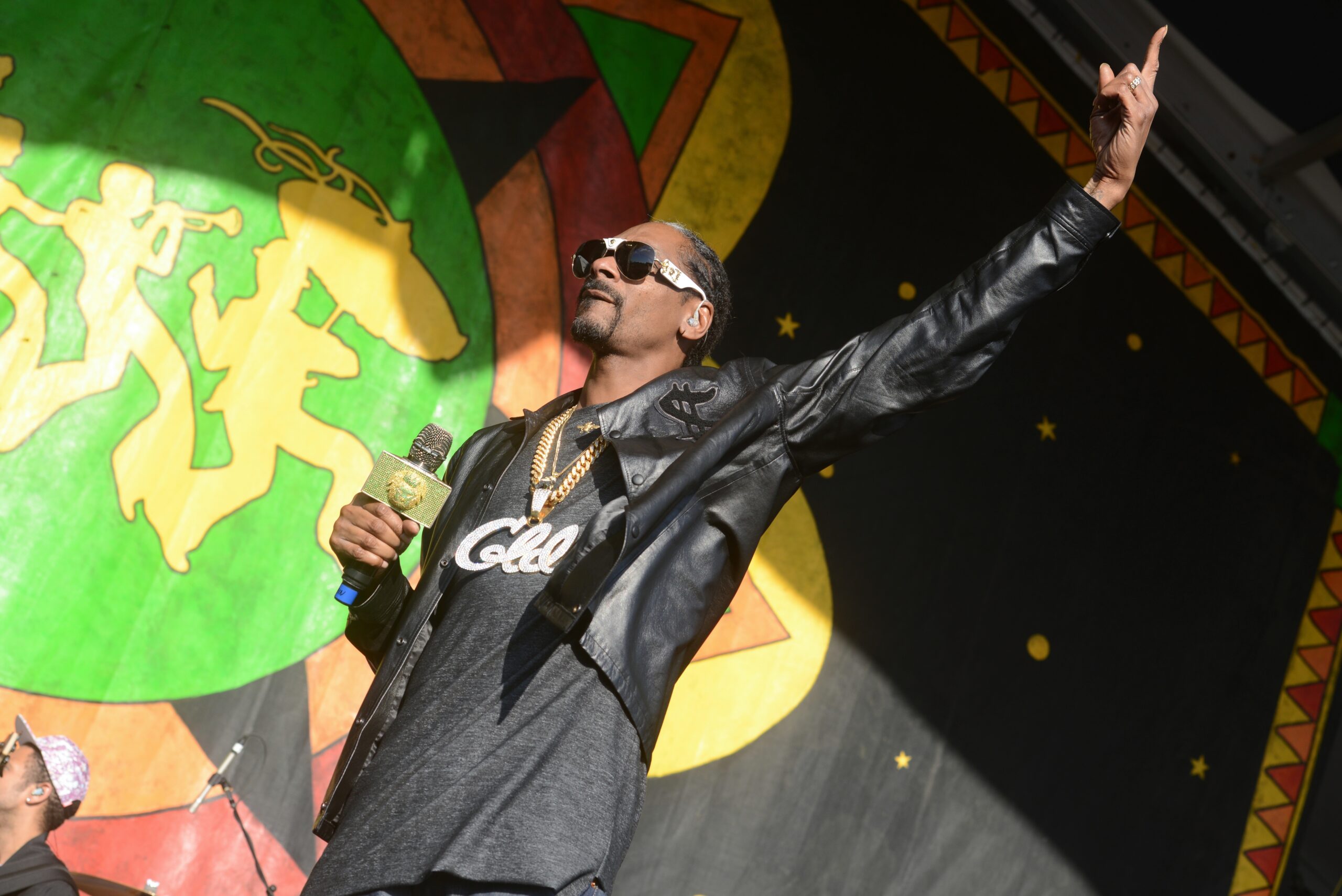 Male rapper on stage wearing sunglasses and a black leather jacket, raising one arm as he holds a microphone.